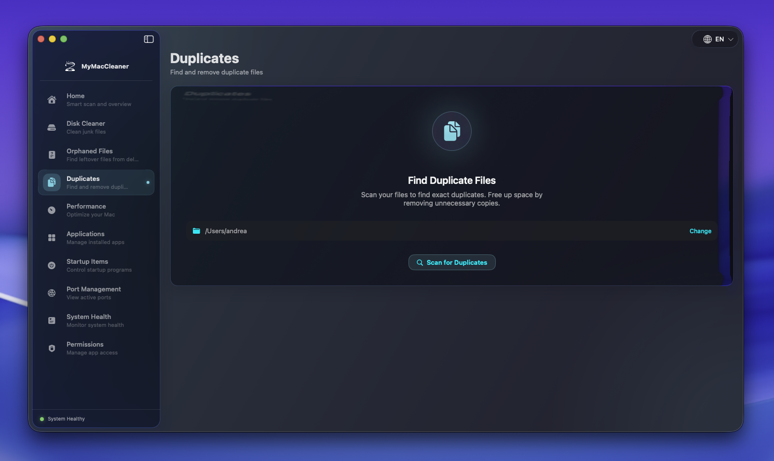 Duplicates - Before Scan